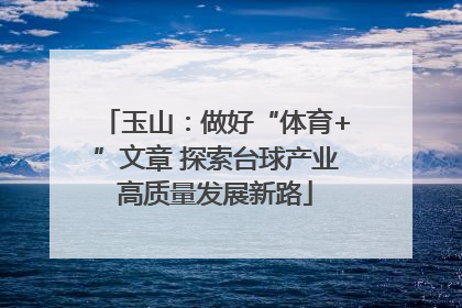 玉山：做好“体育+”文章 探索台球产业高质量发展新路