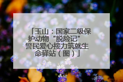 玉山：国家二级保护动物“脱险记” 警民爱心接力筑就生命驿站（图）