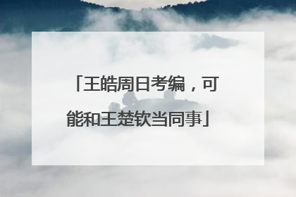 王皓周日考编，可能和王楚钦当同事