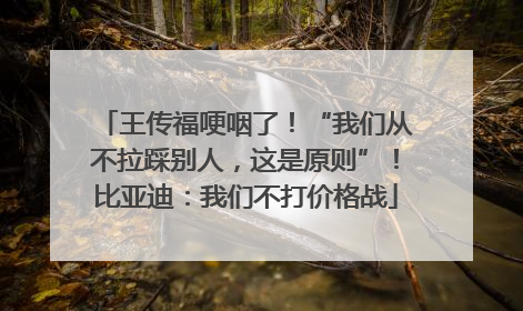 王传福哽咽了！“我们从不拉踩别人，这是原则”！比亚迪：我们不打价格战