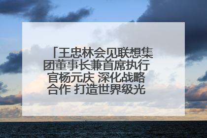 王忠林会见联想集团董事长兼首席执行官杨元庆 深化战略合作 打造世界级光电子信息产业集群