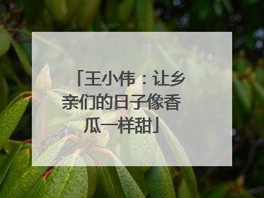 王小伟：让乡亲们的日子像香瓜一样甜