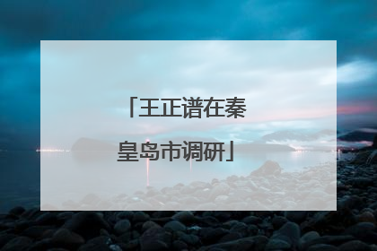 王正谱在秦皇岛市调研