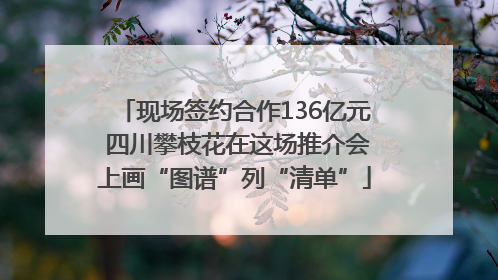 现场签约合作136亿元 四川攀枝花在这场推介会上画“图谱”列“清单”