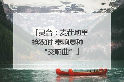 灵台：麦茬地里抢农时 奏响复种“交响曲”