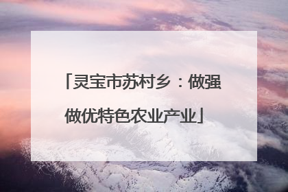 灵宝市苏村乡：做强做优特色农业产业