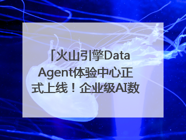 火山引擎Data Agent体验中心正式上线！企业级AI数据专家触手可及