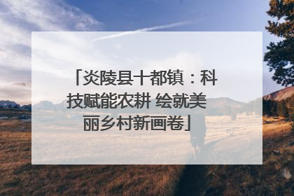 炎陵县十都镇：科技赋能农耕 绘就美丽乡村新画卷