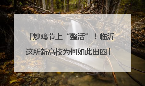 炒鸡节上“整活”！临沂这所新高校为何如此出圈