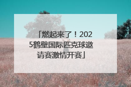 燃起来了！2025鹤壁国际匹克球邀请赛激情开赛