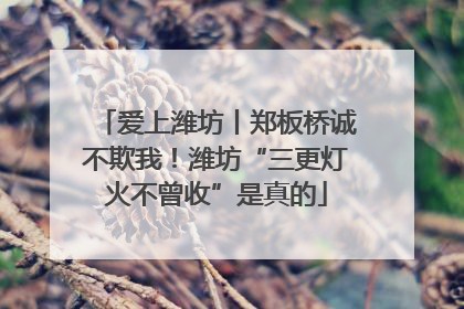 爱上潍坊丨郑板桥诚不欺我！潍坊“三更灯火不曾收”是真的