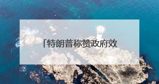特朗普称赞政府效率部成就 马斯克离任后将成总统顾问