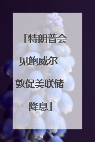 特朗普会见鲍威尔 敦促美联储降息