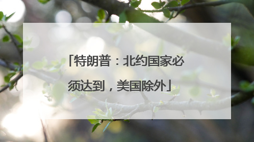 特朗普：北约国家必须达到，美国除外