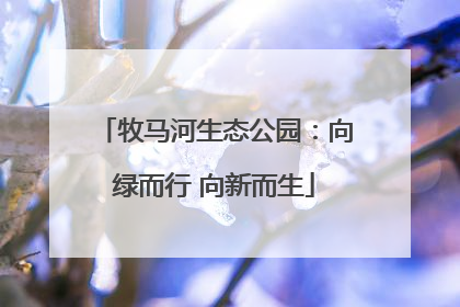 牧马河生态公园：向绿而行 向新而生