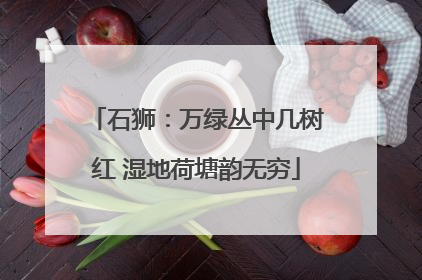石狮：万绿丛中几树红 湿地荷塘韵无穷
