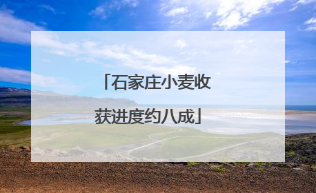 石家庄小麦收获进度约八成