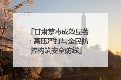 甘肃禁毒成效显著：高压严打与全民防控构筑安全防线