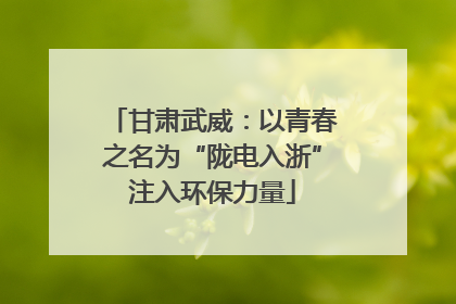 甘肃武威：以青春之名为“陇电入浙”注入环保力量