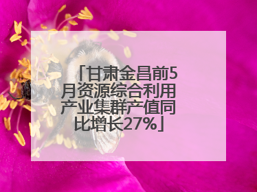 甘肃金昌前5月资源综合利用产业集群产值同比增长27%