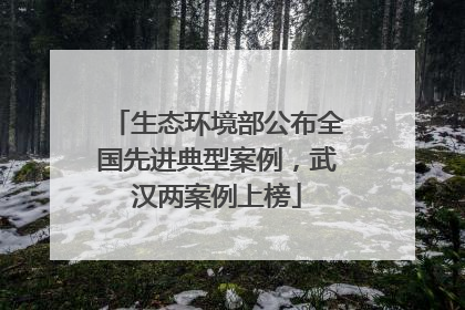 生态环境部公布全国先进典型案例，武汉两案例上榜
