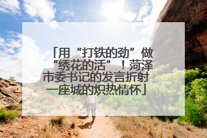 用“打铁的劲”做“绣花的活”！菏泽市委书记的发言折射一座城的炽热情怀