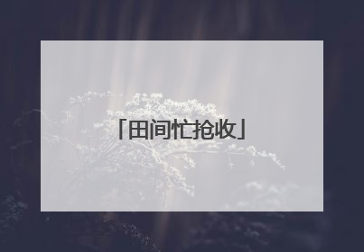 田间忙抢收