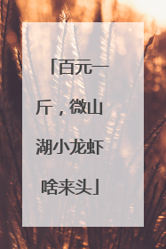 百元一斤，微山湖小龙虾啥来头