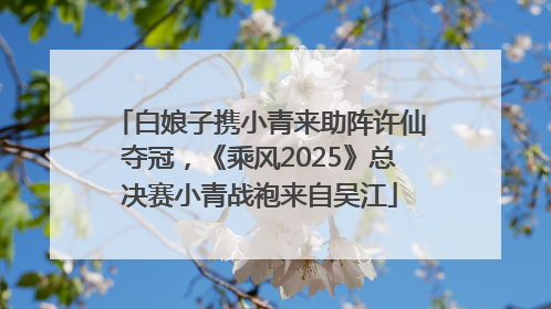 白娘子携小青来助阵许仙夺冠，《乘风2025》总决赛小青战袍来自吴江