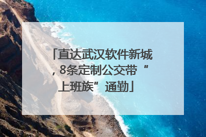 直达武汉软件新城，8条定制公交带“上班族”通勤