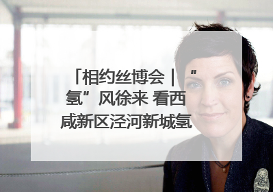 相约丝博会｜“氢”风徐来 看西咸新区泾河新城氢能产业聚链成势