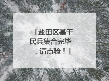 盐田区基干民兵集合完毕，请点验！