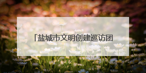盐城市文明创建巡访团开展“党员亮身份服务当先锋”文明实践活动
