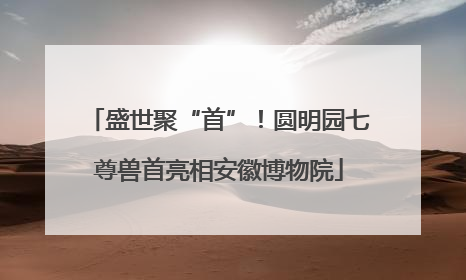 盛世聚“首”！圆明园七尊兽首亮相安徽博物院