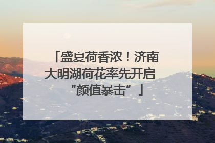 盛夏荷香浓！济南大明湖荷花率先开启“颜值暴击”
