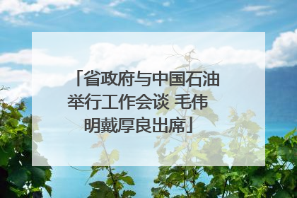 省政府与中国石油举行工作会谈 毛伟明戴厚良出席