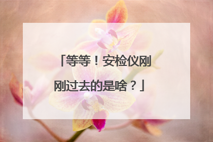等等！安检仪刚刚过去的是啥？
