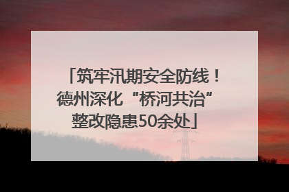 筑牢汛期安全防线！德州深化“桥河共治”整改隐患50余处