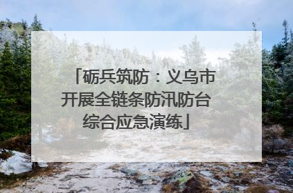 砺兵筑防：义乌市开展全链条防汛防台综合应急演练