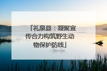 礼泉县：凝聚宣传合力构筑野生动物保护防线