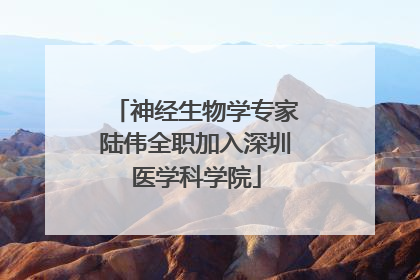 神经生物学专家陆伟全职加入深圳医学科学院