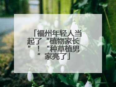 福州年轻人当起了“植物家长”！“种草植男”家亮了