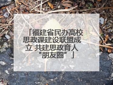 福建省民办高校思政课建设联盟成立 共建思政育人“朋友圈”