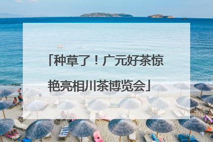 种草了！广元好茶惊艳亮相川茶博览会