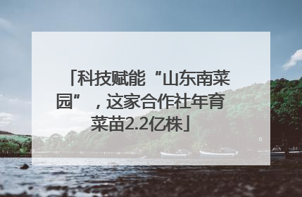 科技赋能“山东南菜园”，这家合作社年育菜苗2.2亿株