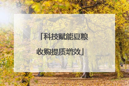 科技赋能夏粮收购提质增效