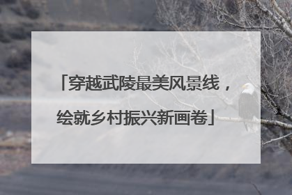 穿越武陵最美风景线，绘就乡村振兴新画卷