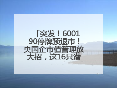 突发！600190停牌预退市！央国企市值管理放大招，这16只潜力股要火？