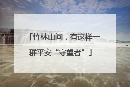 竹林山间，有这样一群平安“守望者”