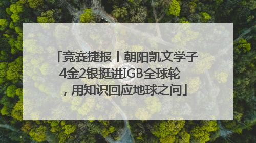 竞赛捷报丨朝阳凯文学子4金2银挺进IGB全球轮，用知识回应地球之问
